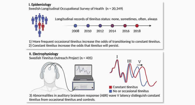 You are currently viewing Veranderingen in auditieve hersenstamrespons onderscheiden incidentele en constante tinnitus